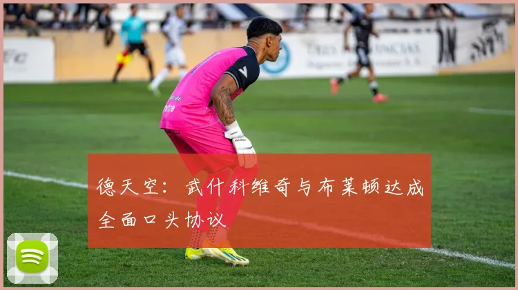 德天空：武什科维奇与布莱顿达成全面口头协议