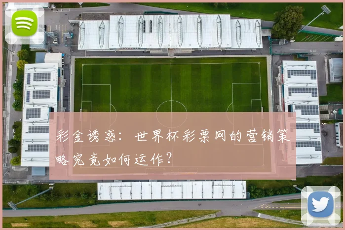 彩金诱惑：世界杯彩票网的营销策略究竟如何运作？