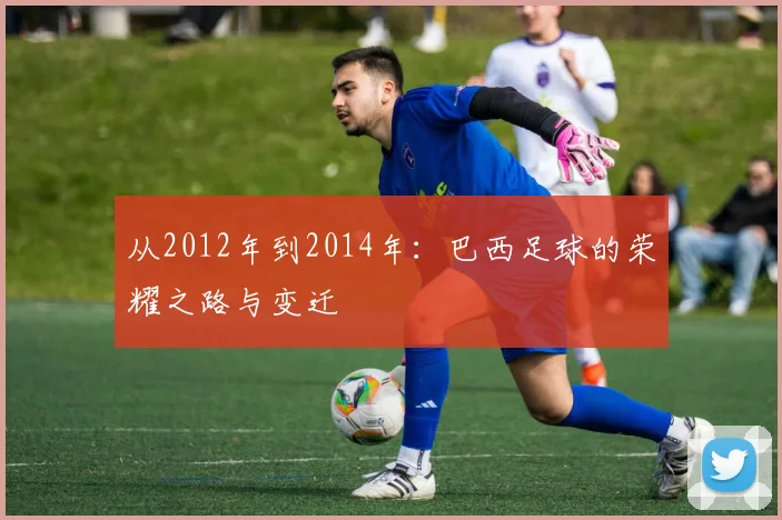 从2012年到2014年：巴西足球的荣耀之路与变迁